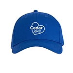 CL352 • Big Accessories - Twill Cap