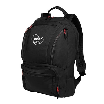 CL371 • Port Authority® Cyber Backpack